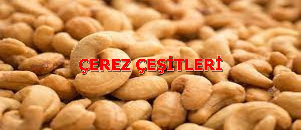 ÇEREZ