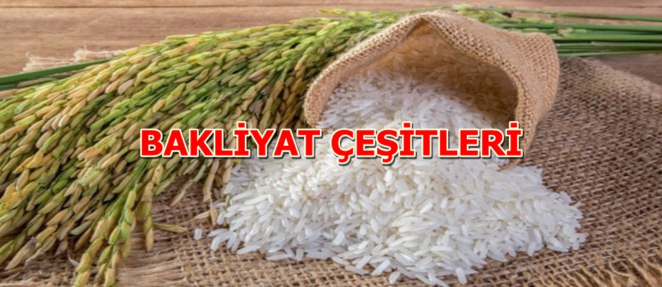 BAKLİYAT
