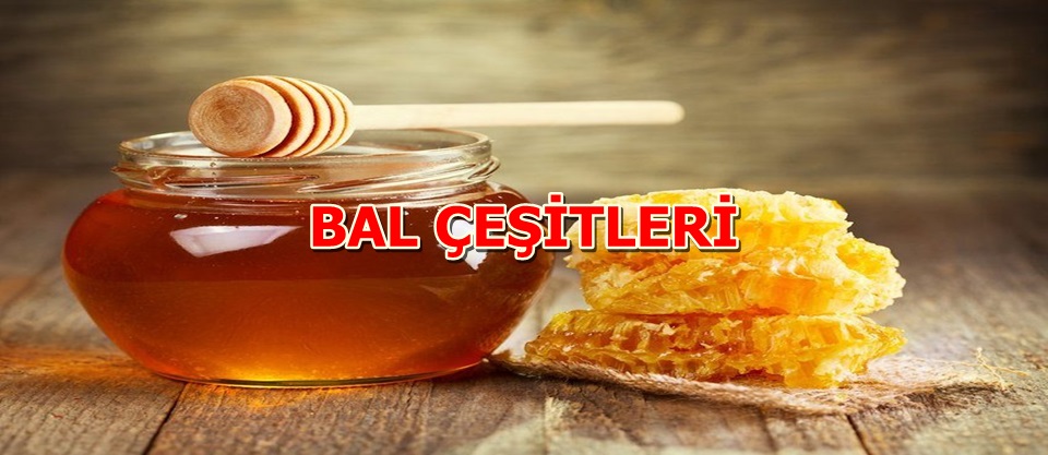 BAL