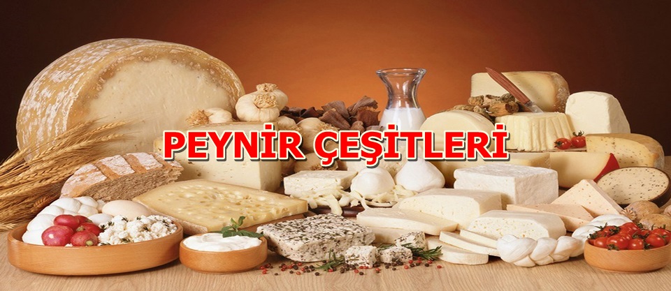 PEYNİR