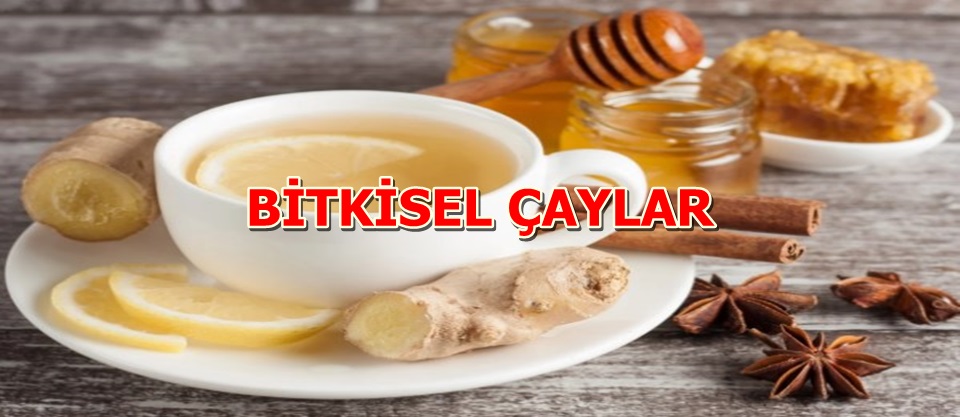 BİTKİSEL ÇAYLAR