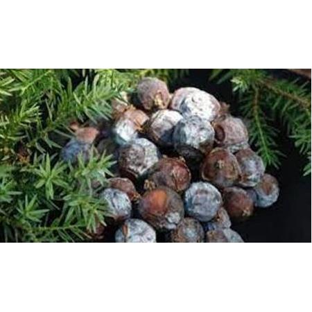 Andız Pekmezi (500gr)