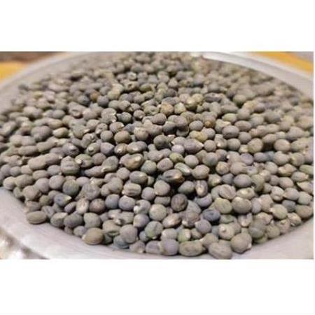 Bamya Tohumu (100gr)