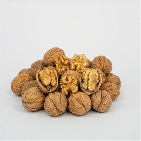 Maraş 18 Aşı Ceviz -2 no (1kg)