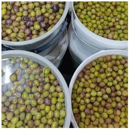 Tatlılanmış Doğal Çizik Zeytin (2KG)