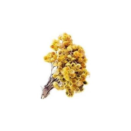 Altın Otu 30 gr