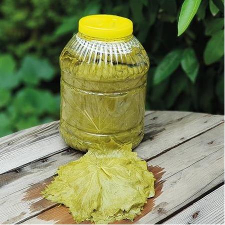 Salamura Yaprak Maraş (600gr)