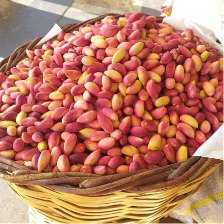 Yaş Antep Fıstık (1kg)