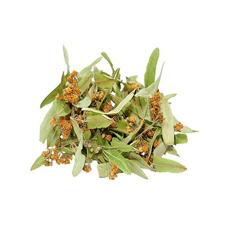 IHLAMUR (100GR)