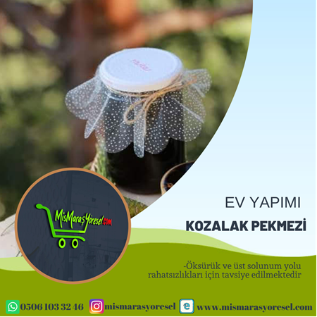 Kozalak Pekmezi Doğal (500GR)