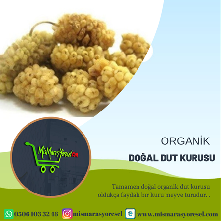 DUT KURUSU (500GR)