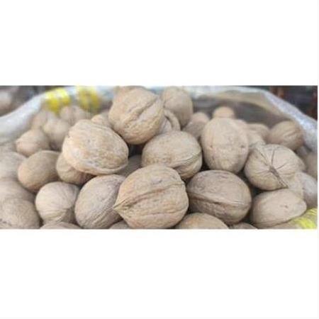 Maraş-18 Aşı Cevizi 1 NO (1kg)