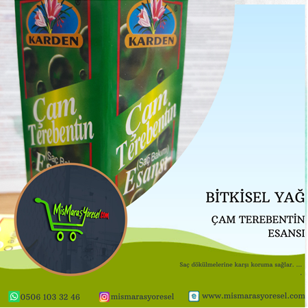 ÇAM TEREBENTİN ESANSI 20 ML