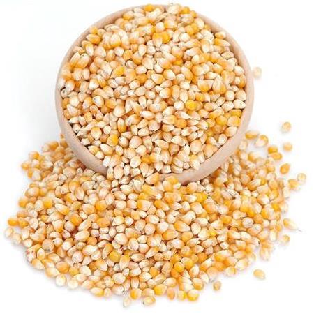Patlamış Mısır (1 kg)
